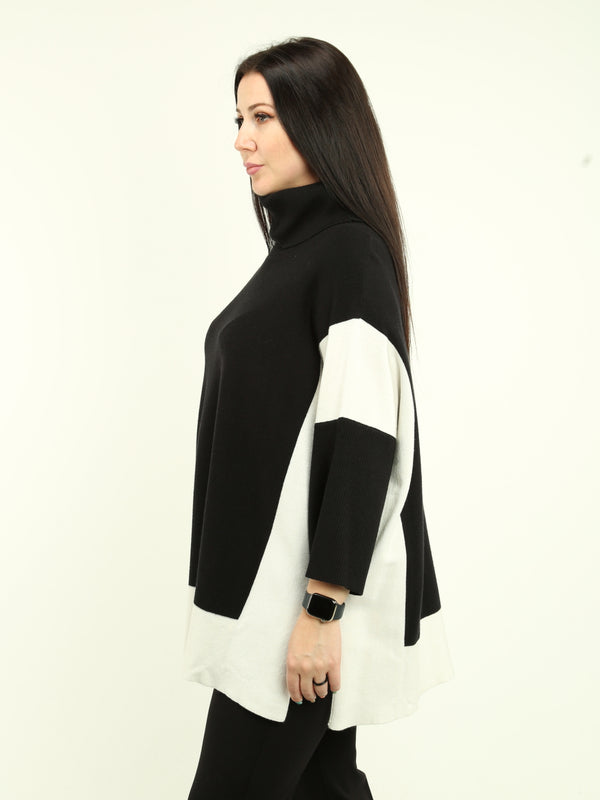 Color Block Turtle Neck Knit Sweater