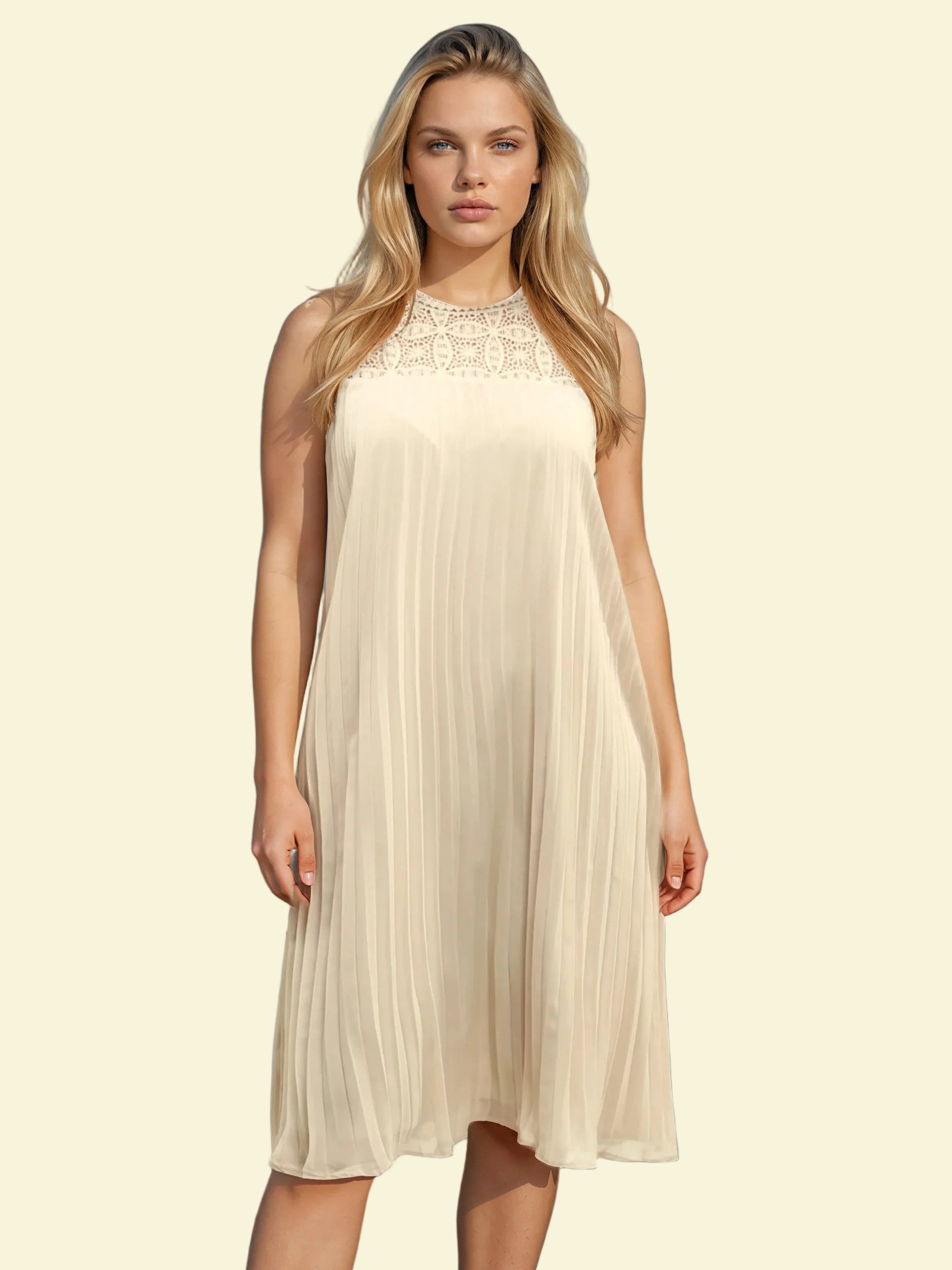 Chiffon Lace Pleated Dress